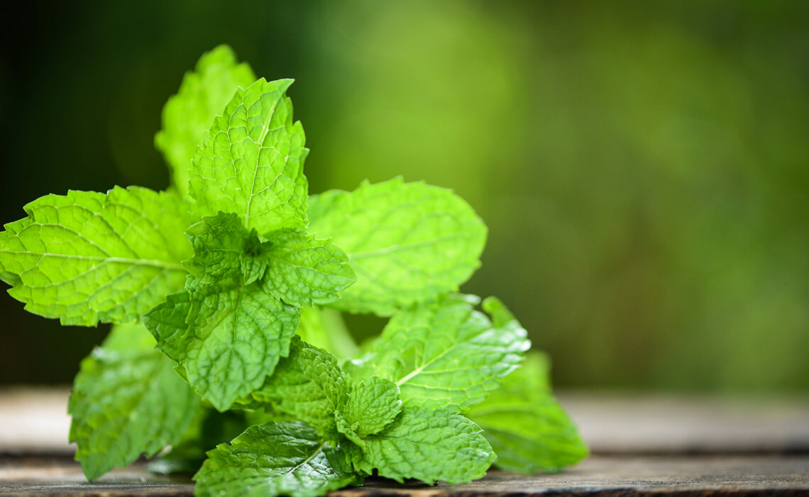 Peppermint (Pudina) Home Remedy For Acne & Sunburn Cocosoul